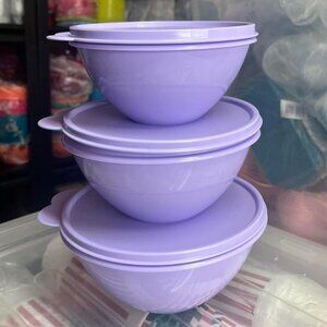 Tupperware Wonderlier Bowls 3pc Set